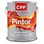 ESMALTE PINTOR CPP NEGRO 1GL